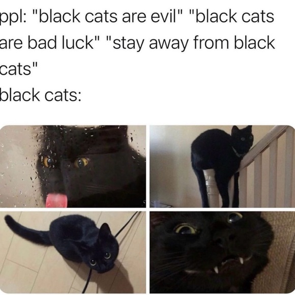 Just because 😁 - Picture 3 of 10